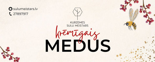 Krēmīgais medus 0.4 L / 0.52 kg - sulumeistars